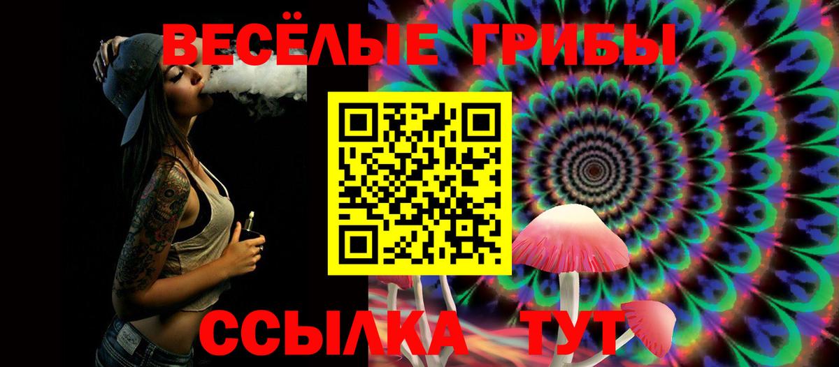 Псилоцибиновые грибы мицелий Заводоуковск